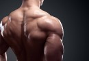 Find the best way to exercise your back