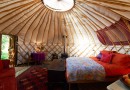 The Glamping trend