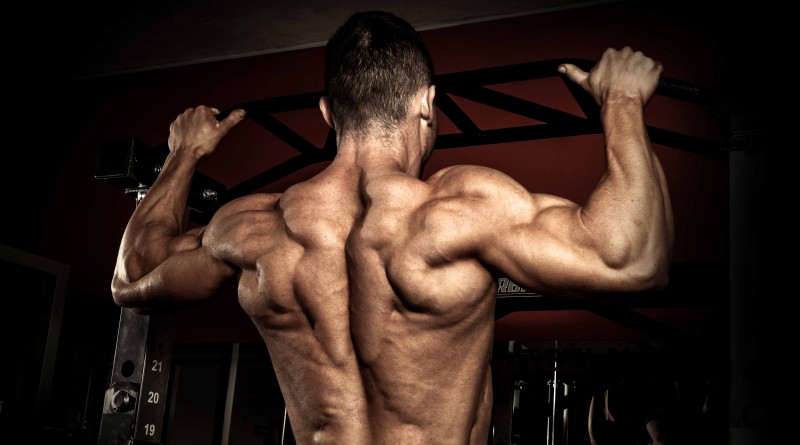 Dar nova força aos músculos
