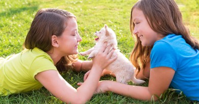 Children and pets